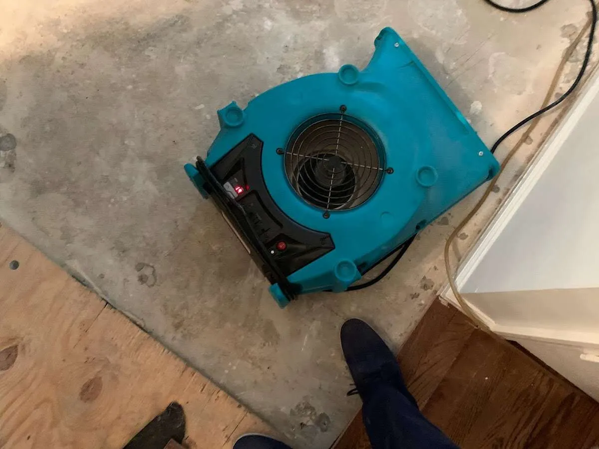 Air mover drying subfloor during Leak Detection & Repair in Owings Mills